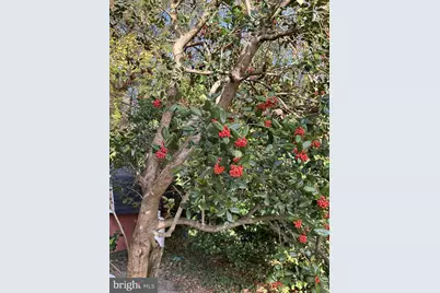 4200 Sellman Road, Beltsville, MD 20705 - Photo 45