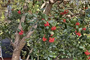 4200 Sellman Rd, Beltsville, MD 20705 - Photo 45