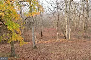 12003 Elmwood Dr, Brandywine, MD 20613 - Photo 69