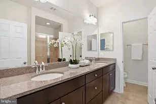 7205 Barrberry Ln, Beltsville, MD 20705 - Photo 29