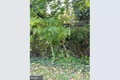 8824 Old Laurel Bowie Road, Bowie, MD 20720 - Photo 3