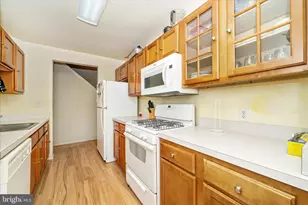 6520 Lake Park Dr, Greenbelt, MD 20770 - Photo 19