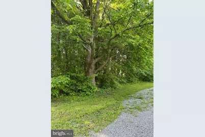 103 Chesapeake Estates Drive, Stevensville, MD 21666 - Photo 5