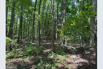 Lot 7 Maple Drive #LOT 7, Stevensville, MD 21666 - Photo 7
