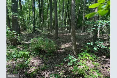 Lot 7 Maple Drive #LOT 7, Stevensville, MD 21666 - Photo 1