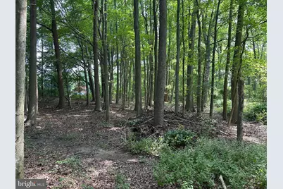 Lot 7 Maple Drive #LOT 7, Stevensville, MD 21666 - Photo 5