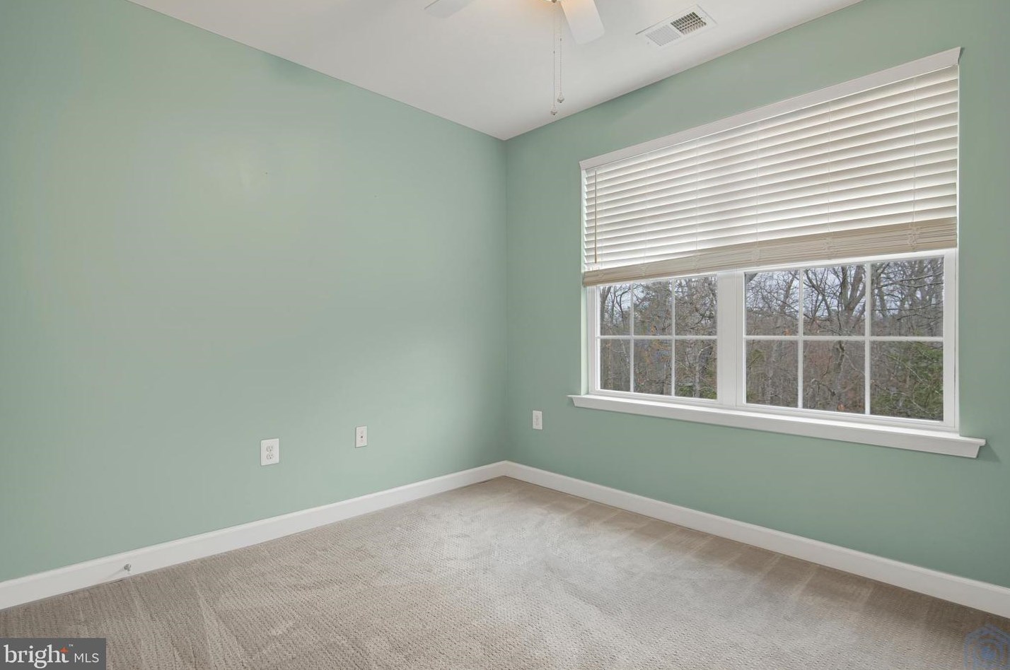 20980 Freedom Run Dr, Lex Pk MD  20653-4435 exterior