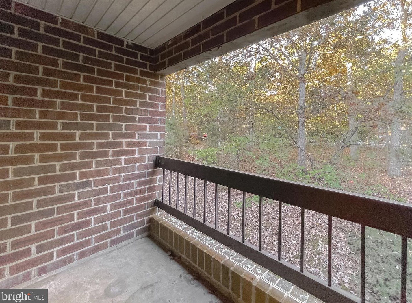 23244 Chestnut Oak Ct, California MD  20619-2027 exterior