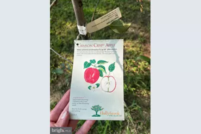 22453 Macarthur Boulevard, California, MD 20619 - Photo 9