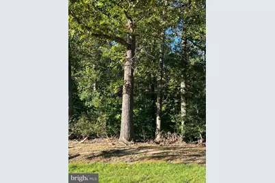 38310 Pleasant View Drive, Charlotte Hall, MD 20622 - Photo 3