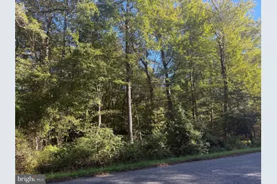 43488 Medleys Neck Road, Leonardtown, MD 20650 - Photo 7