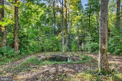 43447 Drum Cliff Road, Hollywood, MD 20636 - Photo 31