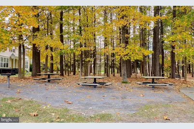 23139 Primrose Way, California, MD 20619 - Photo 53