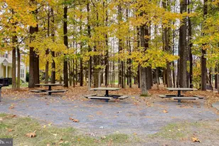 23139 Primrose Wy, California, MD 20619 - Photo 53