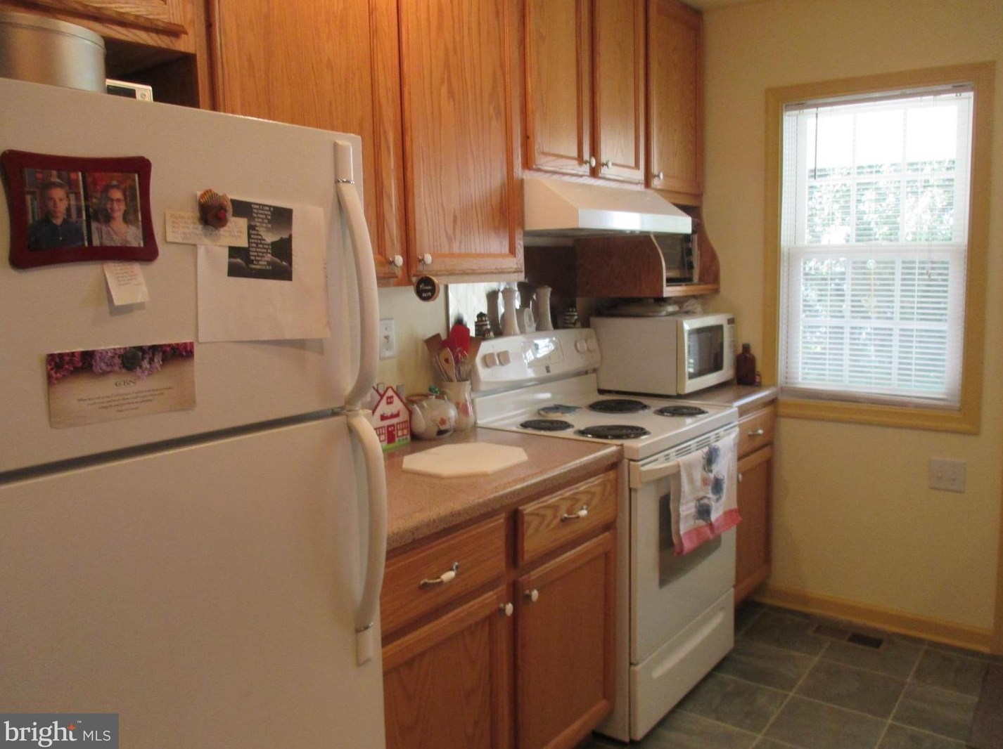 26388 Mt Vernon Rd, Princess Anne MD 21853-3430 exterior