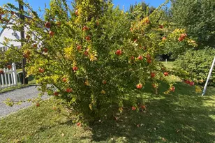 20809 Severn Rd, Ewell, MD 21824 - Photo 39