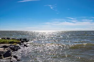 9000 Deal Island Rd, Deal Island, MD 21821 - Photo 121