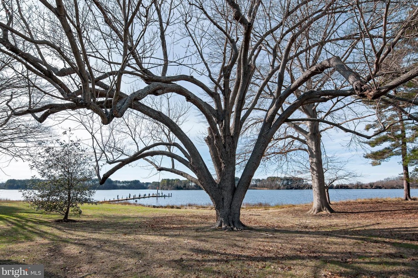 26404 Presquile Dr, Easton MD 21601 exterior