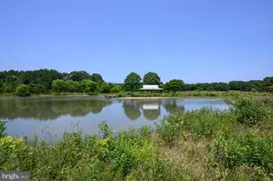 24977 Back Creek Dr, Saint Michaels, MD 21663 - Photo 69