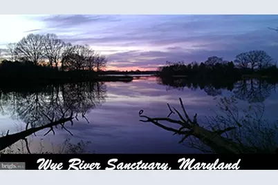 11778 Old Skipton Road, Cordova, MD 21625 - Photo 41