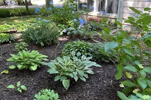 11116 Liberty Ln, Easton, MD 21601 - Photo 17