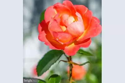 28711 Hope Circle, Easton, MD 21601 - Photo 15