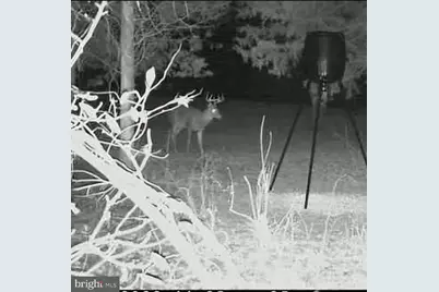 15920 River Bend Court, Williamsport, MD 21795 - Photo 35