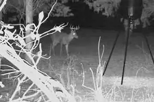 15920 River Bend Ct, Williamsport, MD 21795 - Photo 35