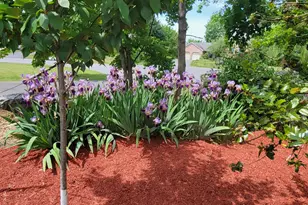 10730 Hershey Dr, Williamsport, MD 21795 - Photo 59