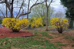 10730 Hershey Dr, Williamsport, MD 21795 - Photo 49