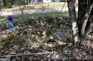 7627 Eddy Dr, Hancock, MD 21750 - Photo 7