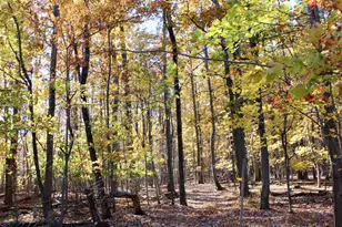 5103 Red Hill Rd, Keedysville, MD 21756 - Photo 55