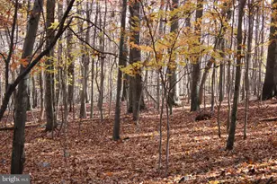 5103 Red Hill Rd, Keedysville, MD 21756 - Photo 57