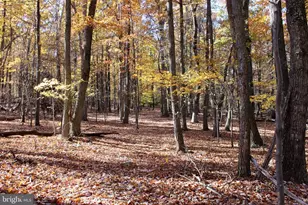 5103 Red Hill Rd, Keedysville, MD 21756 - Photo 15