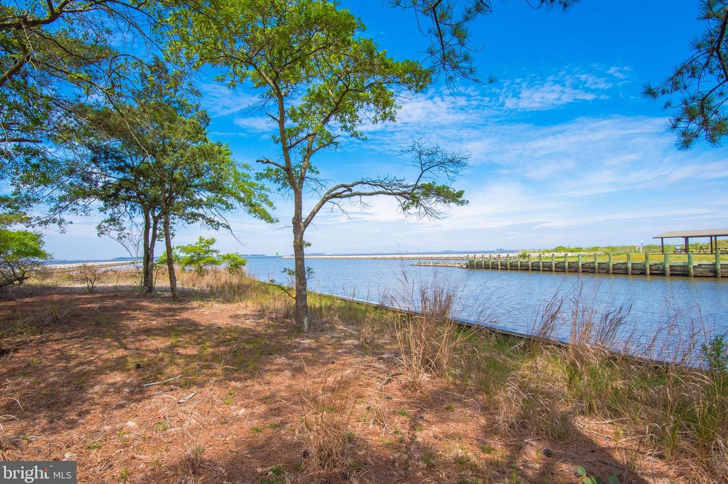 20919 Cedar Hill Pkwy, Bivalve MD  21814-2042 exterior