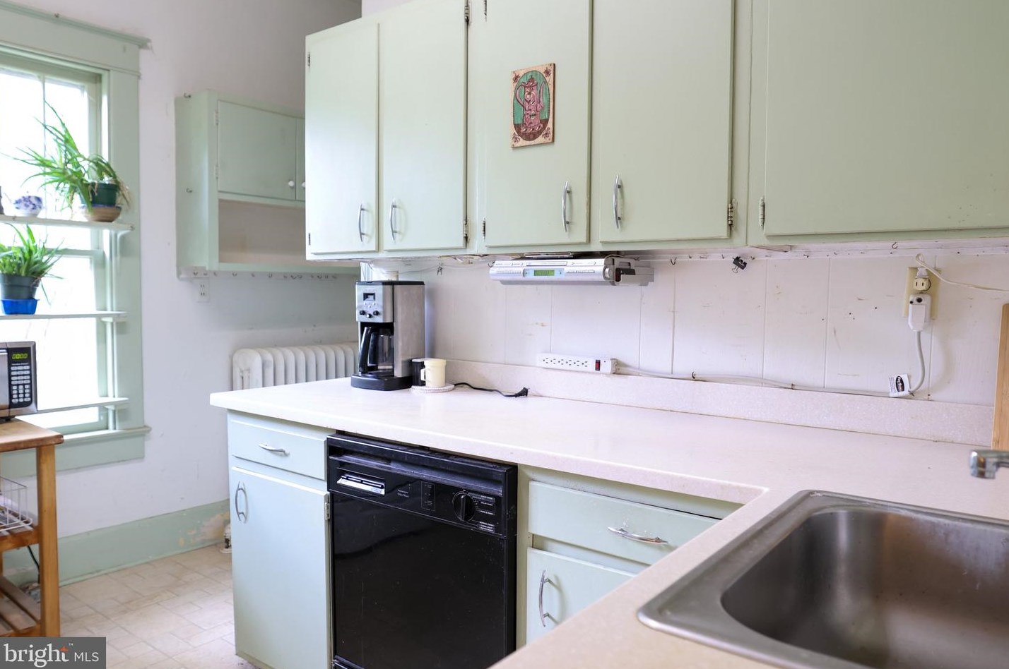 209 Main St, Fruitland MD 21826-1658 exterior