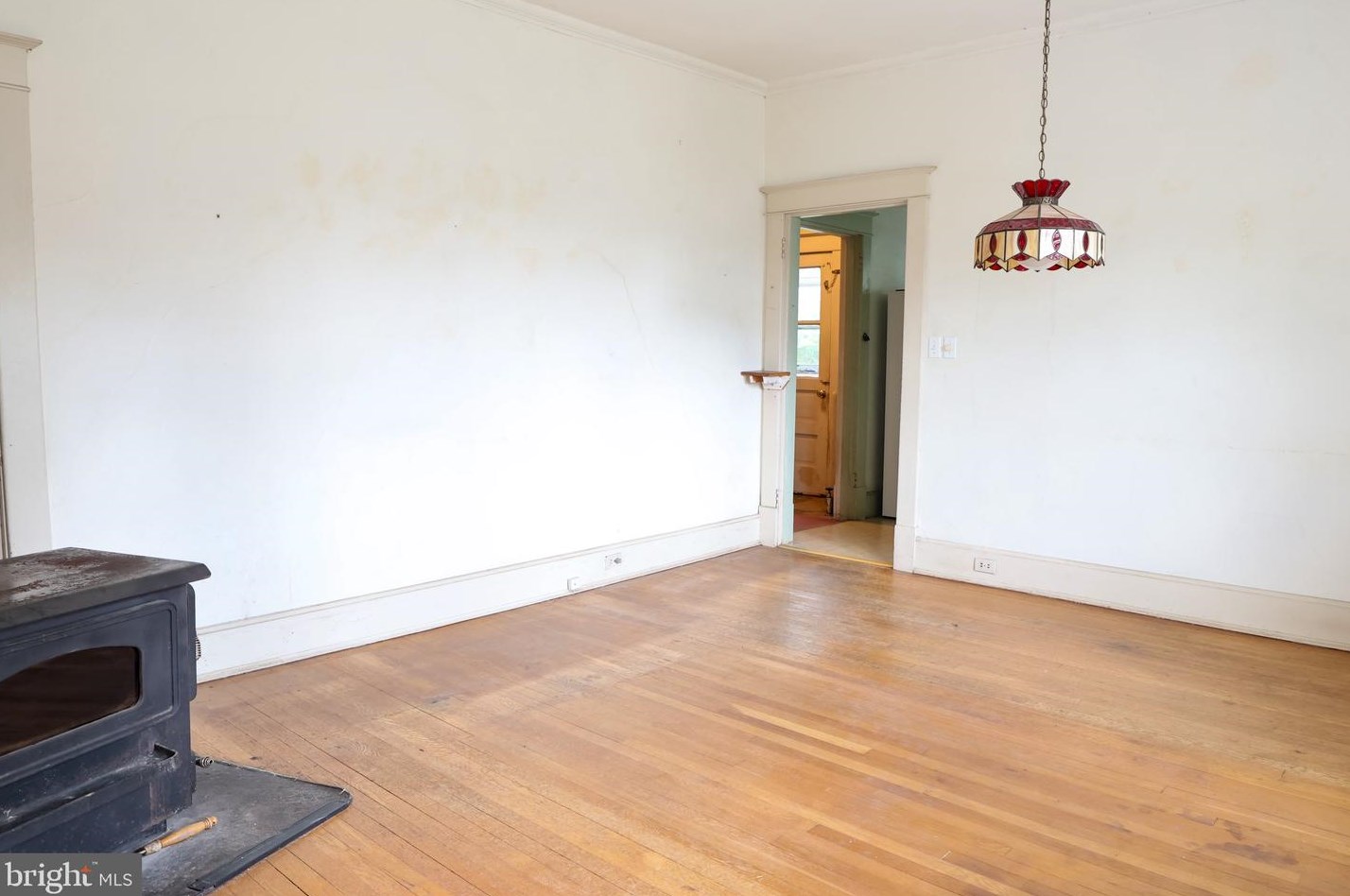 209 Main St, Fruitland MD 21826-1658 exterior