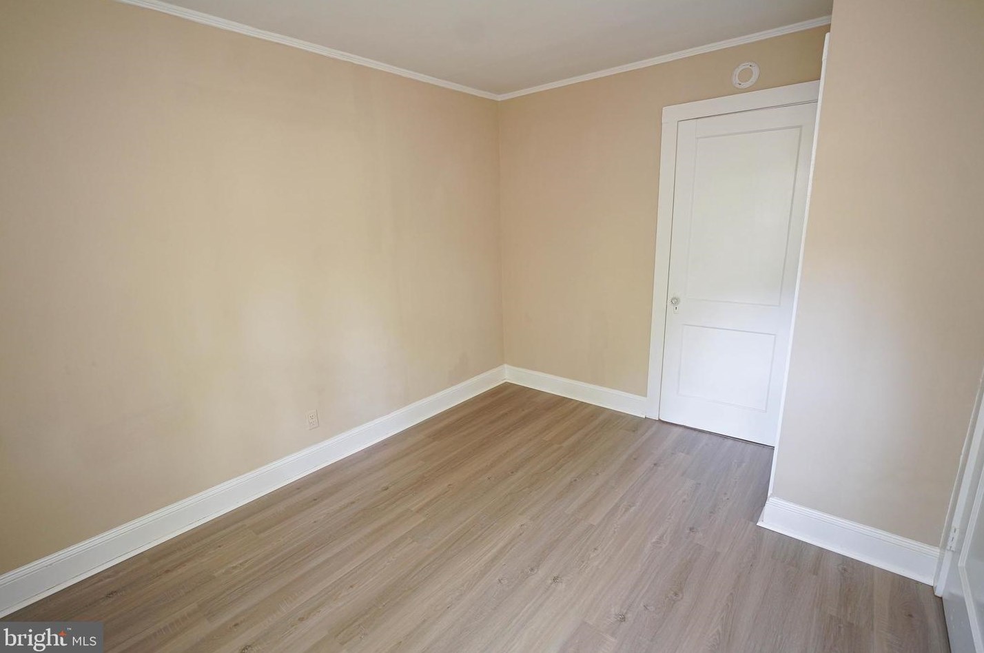 504 Sheldon Ave, Fruitland MD 21826-1409 exterior