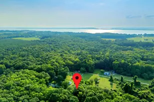 4152 Jesterville Rd, Tyaskin, MD 21865 - Photo 19