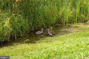 9540 Wedge Way, Delmar, MD 21875 - Photo 69