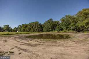 8364 Pittsville Rd, Parsonsburg, MD 21849 - Photo 59