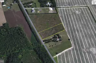 0 Levin Dashiell Rd, Hebron, MD 21830 - Photo 1