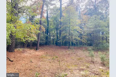 8923 Star Road, Delmar, MD 21875 - Photo 33