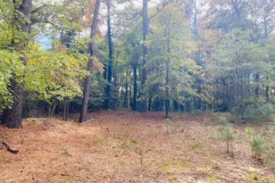 8923 Star Rd, Delmar, MD 21875 - Photo 33