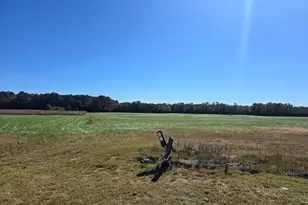 6728 Friendship Rd, Pittsville, MD 21850 - Photo 123