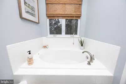 104 Horsetail Court, Fruitland, MD 21826 - Photo 43