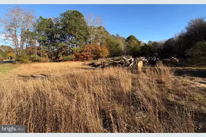 8381 Hurleys Neck Road, Mardela Springs, MD 21837 - Photo 21