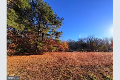 8381 Hurleys Neck Road, Mardela Springs, MD 21837 - Photo 23