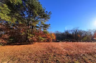 8381 Hurleys Neck Rd, Mardela Springs, MD 21837 - Photo 23