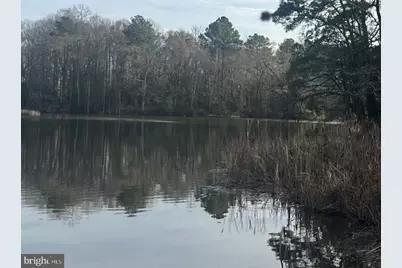 0 Cottman Road, Allen, MD 21810 - Photo 13